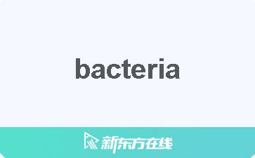 bacteria 2+意思|BACTERIA中文(简体)翻译：剑桥词典